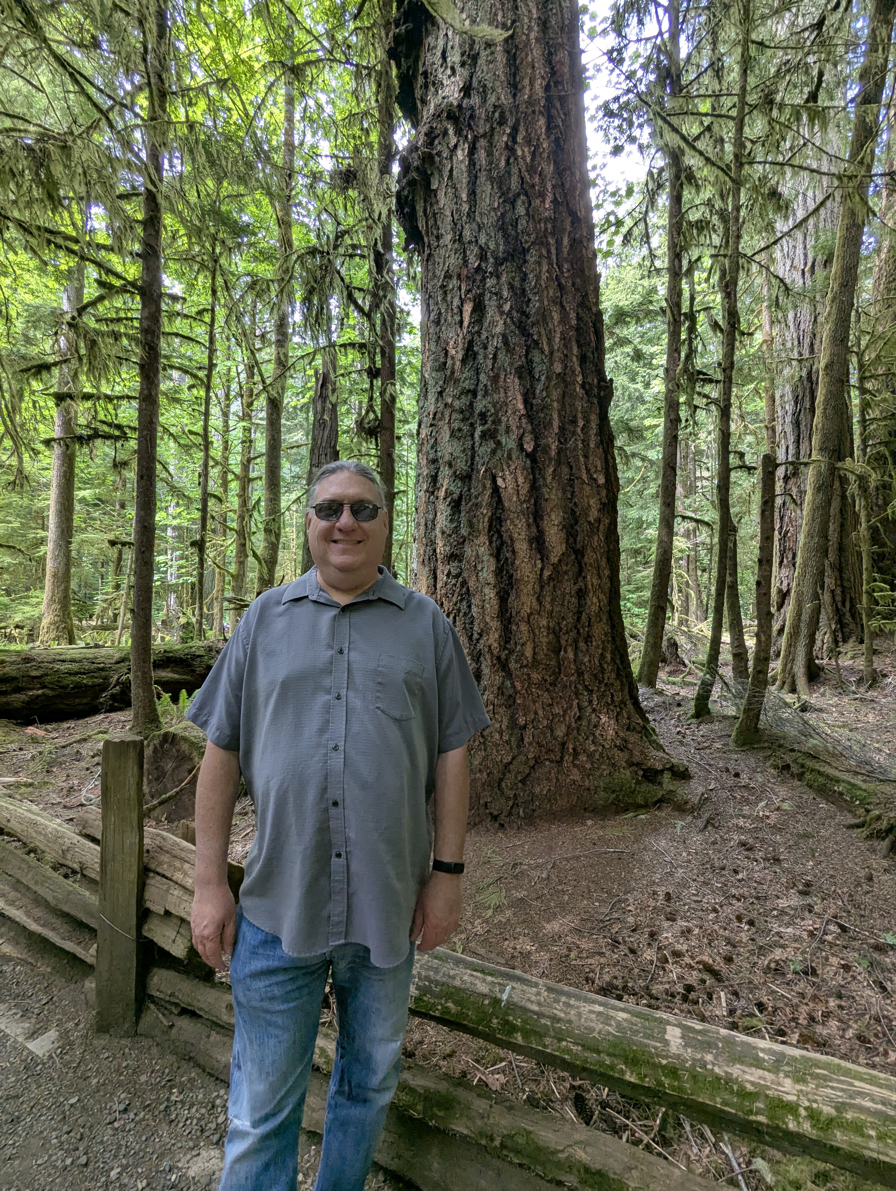 Birthday Trip to Canada, Cathedral Grove, Vancouver Island, Michael Sanders